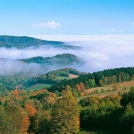 Spalona Jagodna 公寓