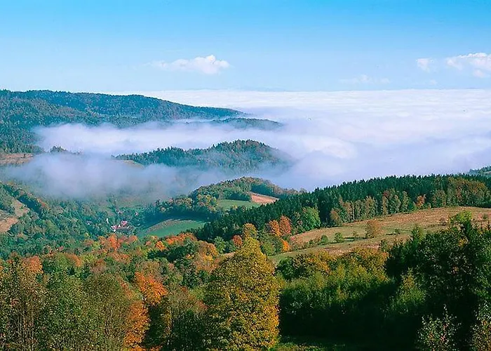 Spalona Jagodna 公寓