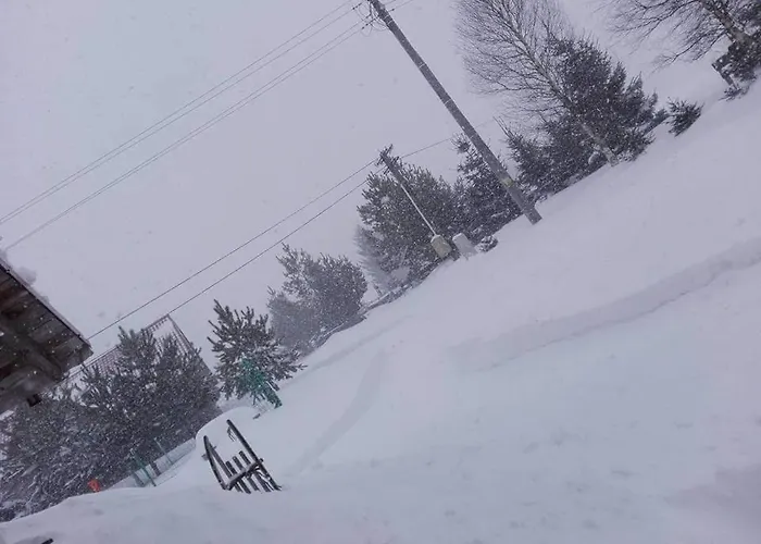 Spalona Jagodna 公寓